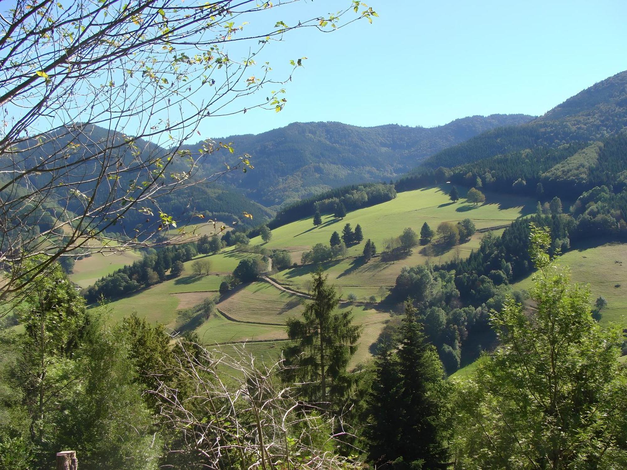 Blackforest Ferienwohnung Sankt Georgen im Schwarzwald Exterior photo